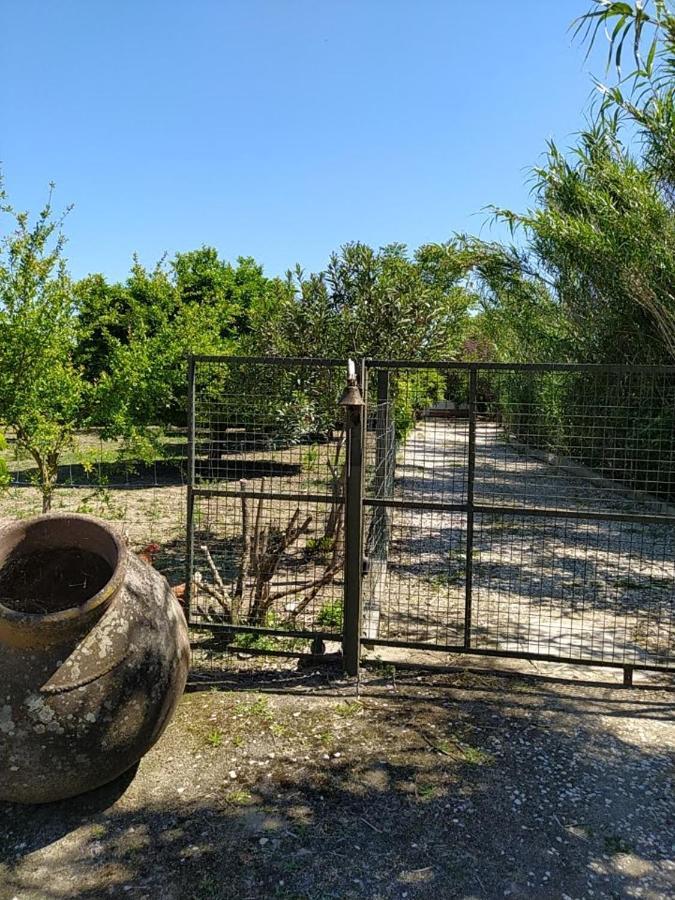 Quinta Da Ponte Das Hortas 3 Елвас Екстериор снимка
